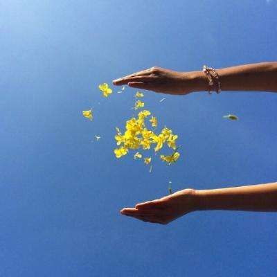 今天买什么特马下载手机版