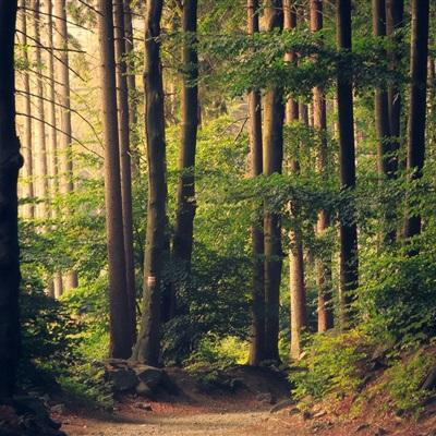 金年会体育下载app