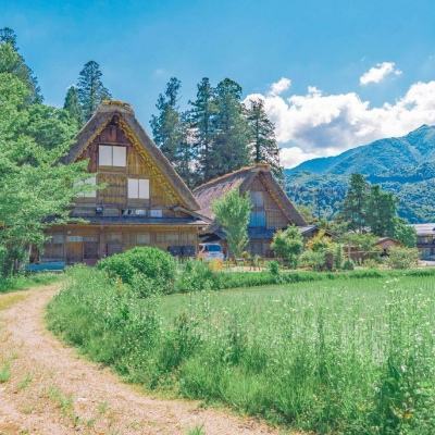 ob体育最新官网手机app下载