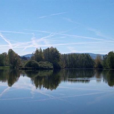 天博体育官网入口app下载截图