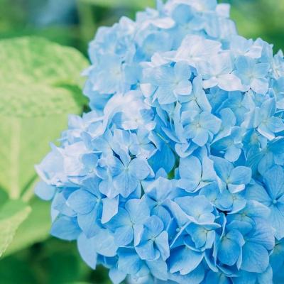 天博tb综合体育官方app下载