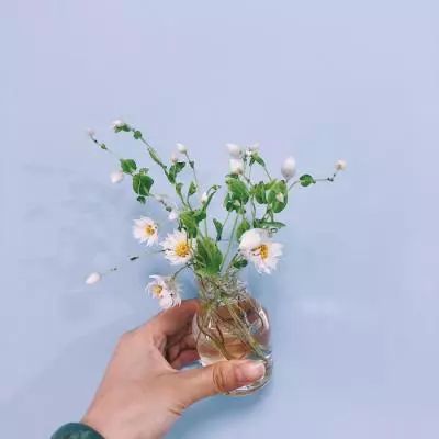 爱游戏app手机版