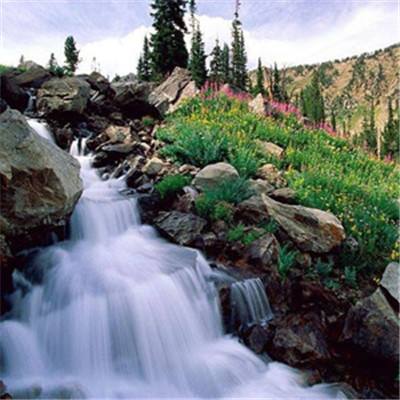 2023管家婆资料正版大全澳门手机app下载